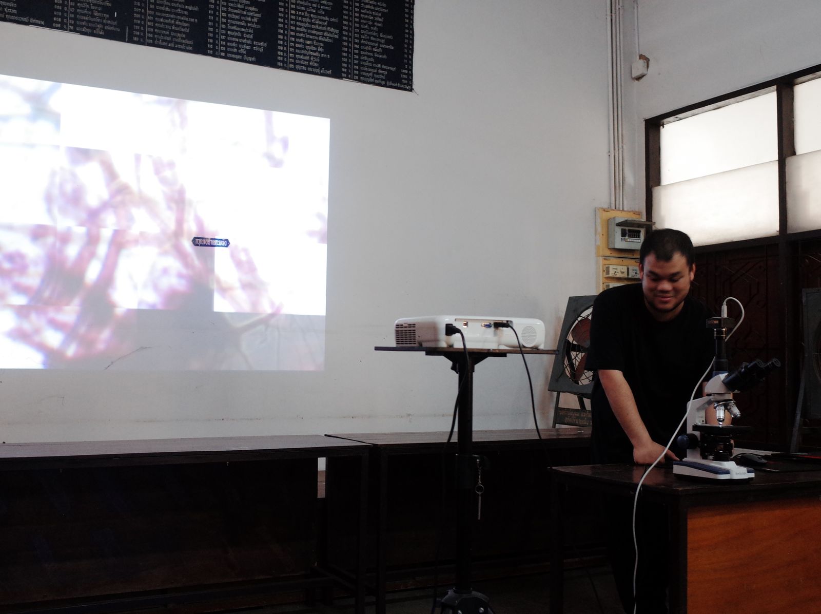 BioArt: Art from the Microscope